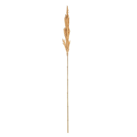 Zweig Bambus 7 x 7 x 190 cm