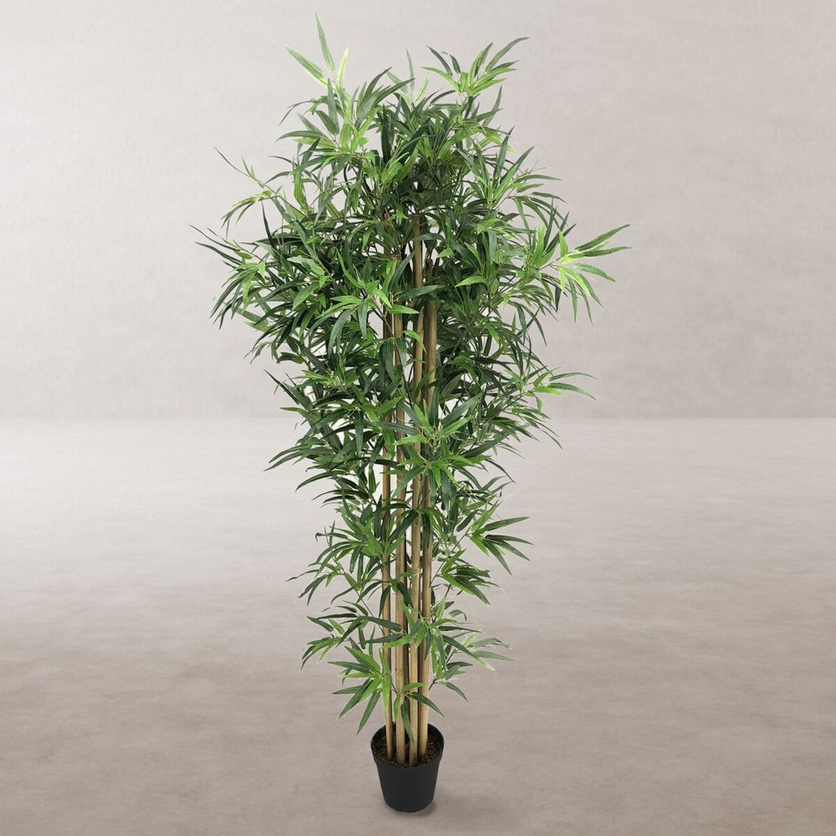 Dekorationspflanze Zement Stoff Bambus 180 cm