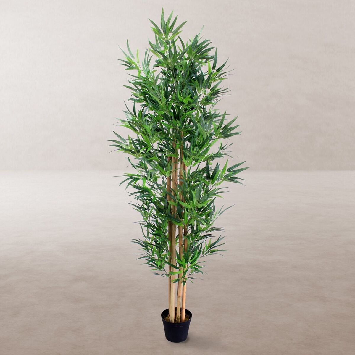 Dekorationspflanze Zement Stoff Bambus 210 cm