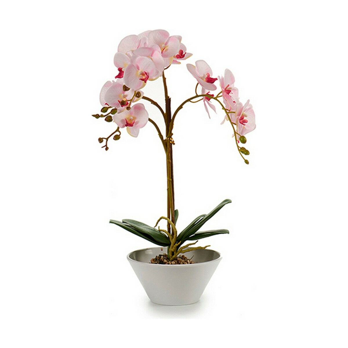 Dekorationspflanze Orchidee Kunststoff 20 x 60 x 28 cm (2 Stück)