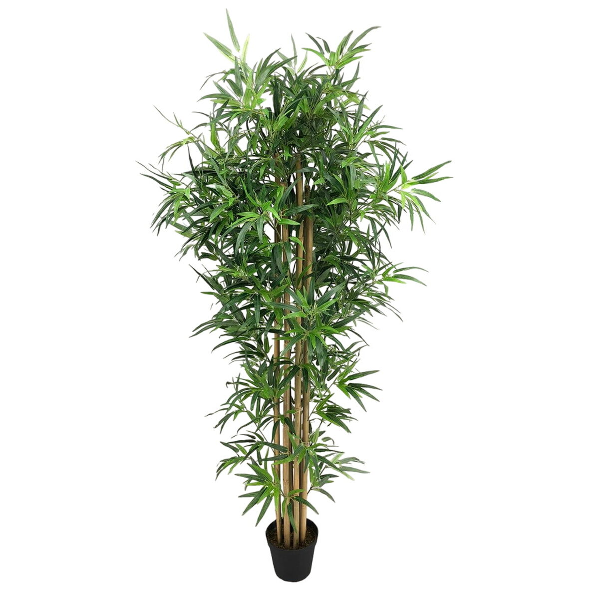 Dekorationspflanze Zement Stoff Bambus 180 cm